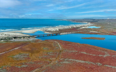 default Aerial view of coastal wetlands with vibrant red vegetation, blue lagoon, sandy dunes, and a bridge leading to the ocean shoreline.