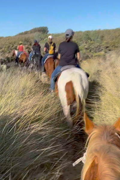 A group of people riding horses in a line through tall grass on a coastal nature trail under a clear blue sky.