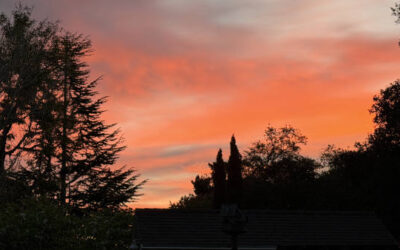 Morning Sunrise in Lompoc