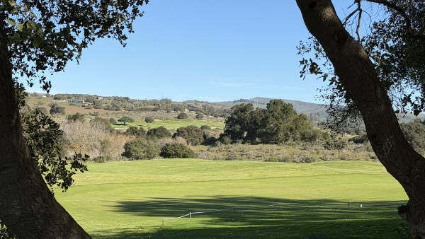 Beautiful landscaped walking path with greenery leading through a residential community with homes in the background.